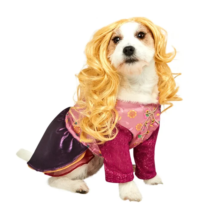 Hocus Pocus Sarah Dog Costume by Rubie’s