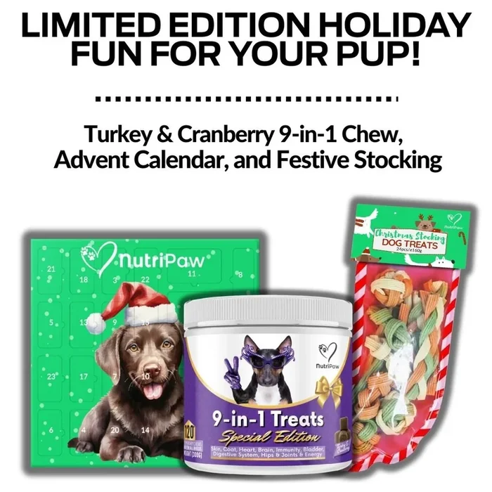 Holiday Treat Bundle