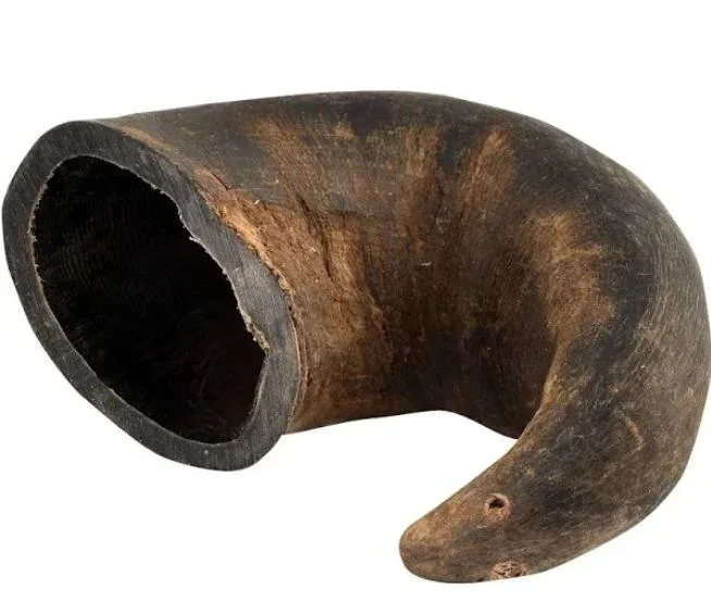 Honey I’m Home! Buffalo Horn Large Dog Chew