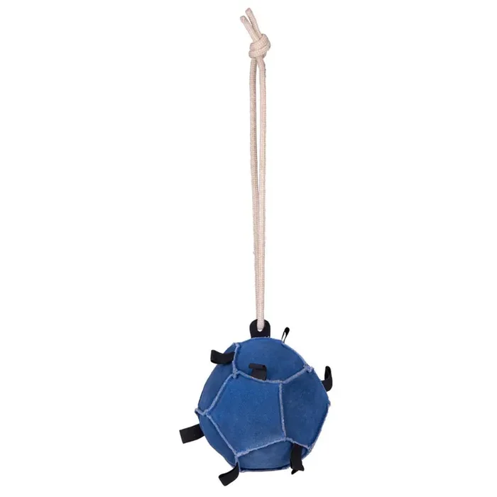 Horse ball toy QHP