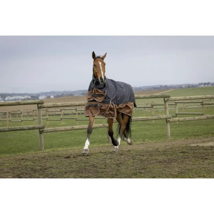 Horse blanket Equithème Aisance Combo TYREX 600D 100g