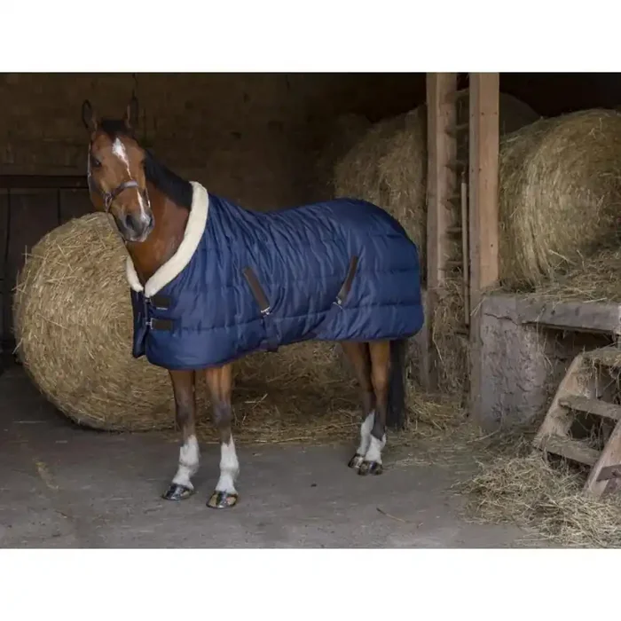 Horse blanket Equithème Teddy 0g