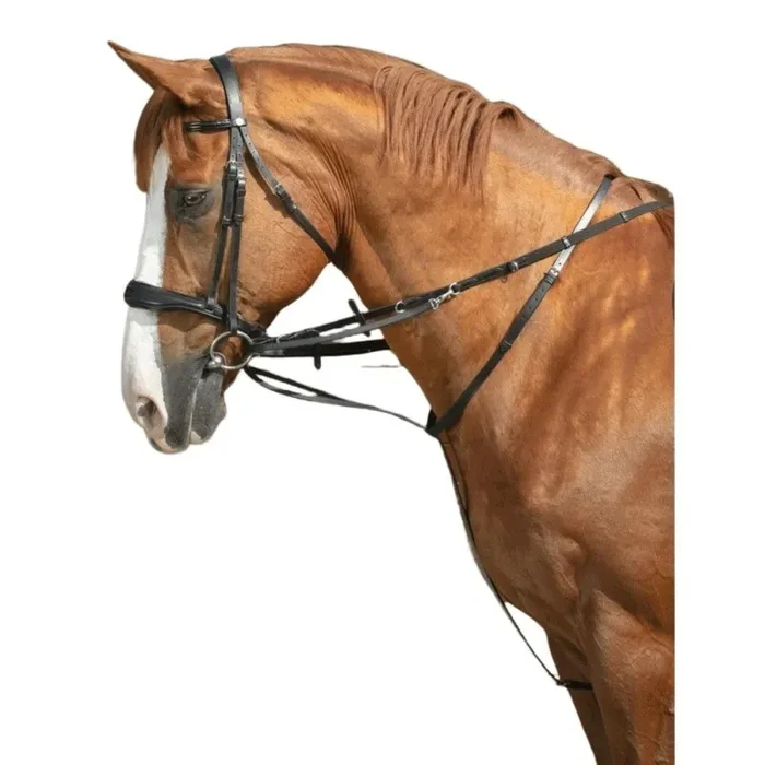 Horse longe reining Norton Thiedeman Pro [Size Horse]