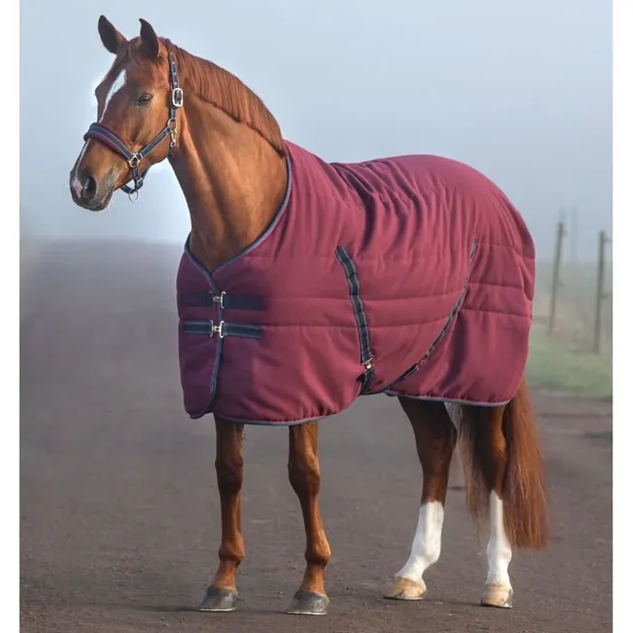 Horse stable rug with embossed lining Horseware Rambo 100g