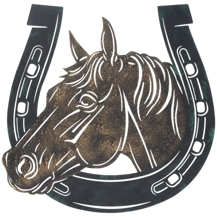 Horsehead and Horseshoe Wall Hanging