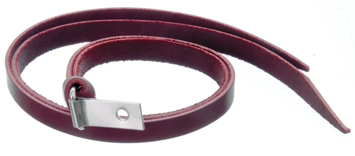 Jeffers Latigo Leather Horse Saddle String with Clip & Dee, 24″ L