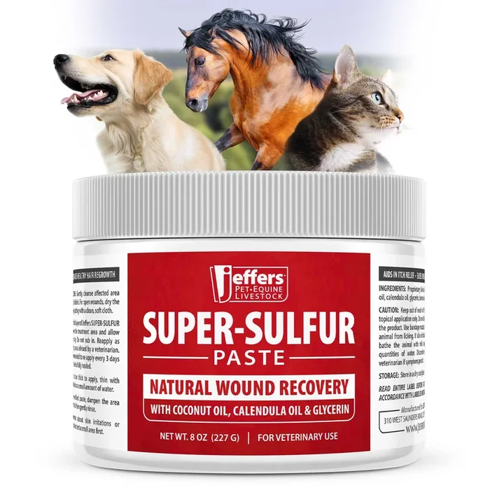 Jeffers Super Sulfur Wound Healing Paste for Pets, Horses, & Livestock