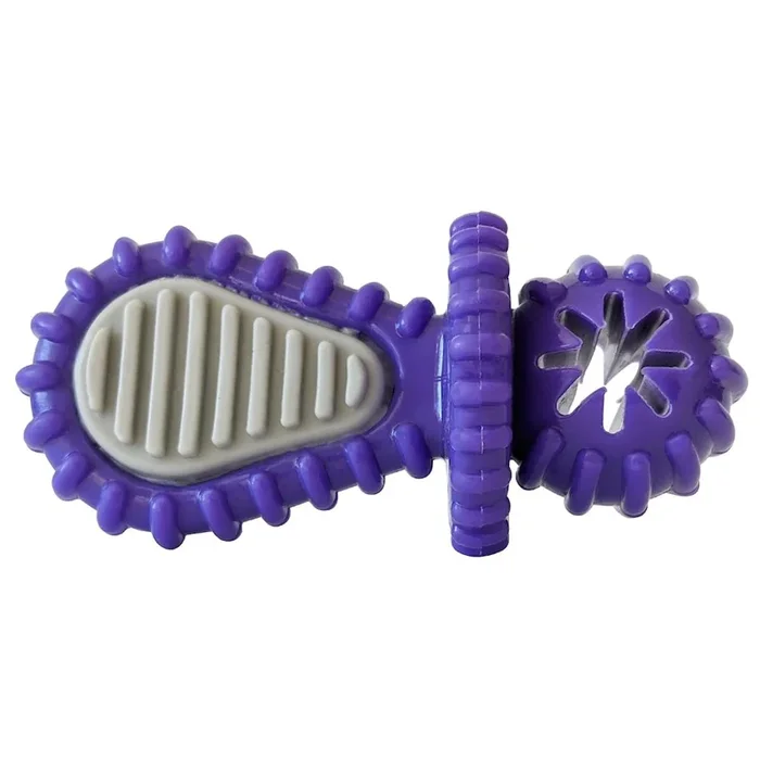 JoJo Modern Pets Recyclable Rubber Dental Dog Toy – Purple Pacifier