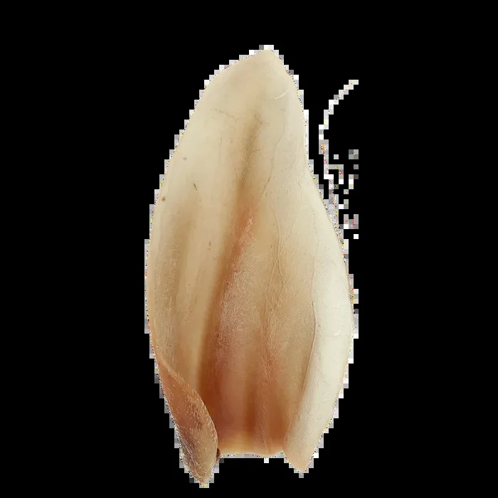 Jumbo Cow Ear Natural Dog Chew