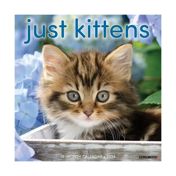 Just Kittens 2024 Wall Calendar