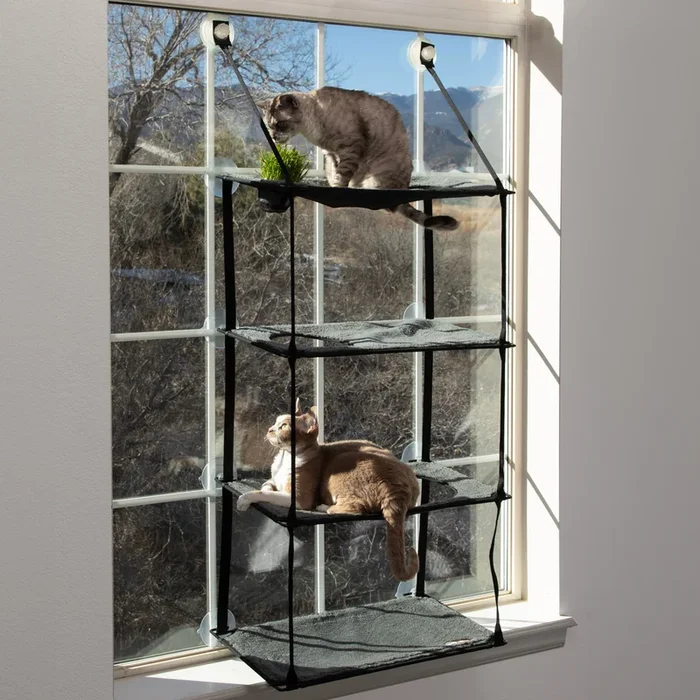 K&H EZ Mount Window Kitty Sill Cat Perch with Cat Grass Grow Station – Multi-Level