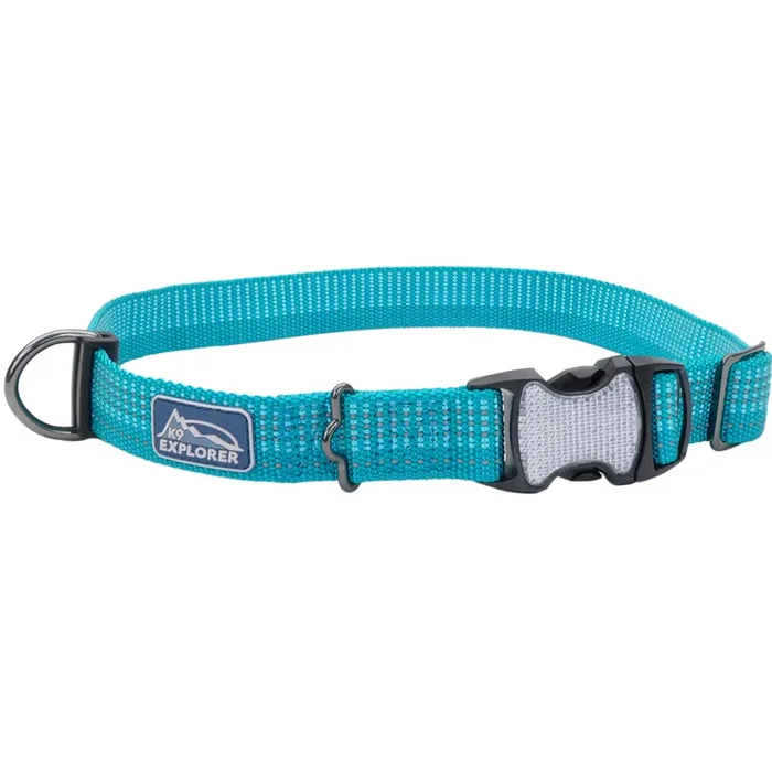 K9 Explorer® Brights Reflective Adjustable Dog Collar, Teal Large