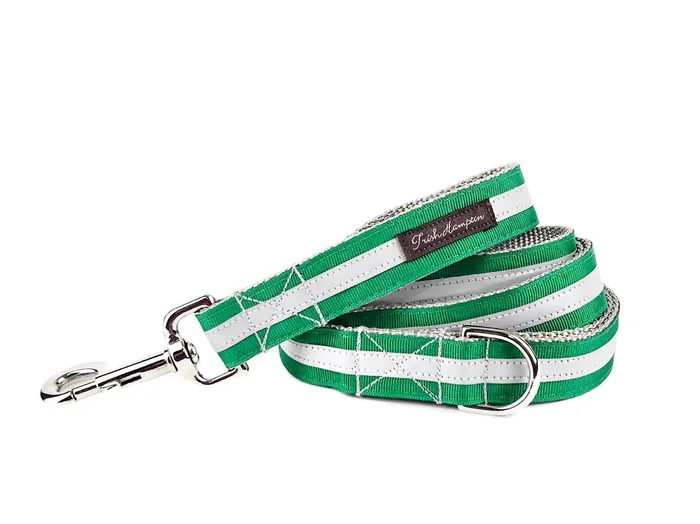 Kelly Green Reflective – 3M – 6ft Dog Leash – 411