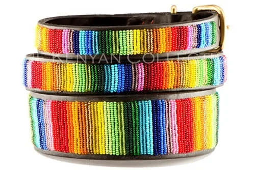 Kenyan Rainbow Beaded Dog Collars