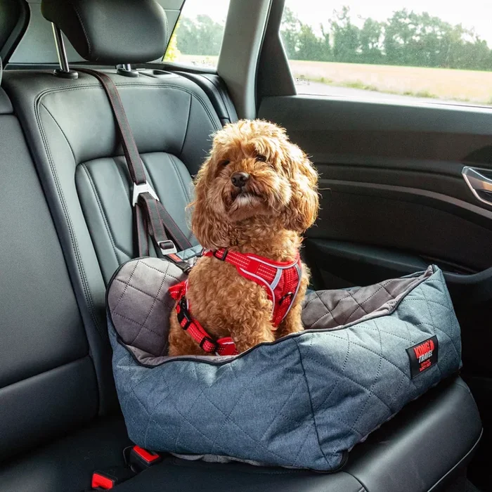 Kong Travel Ultimate Safety Seat