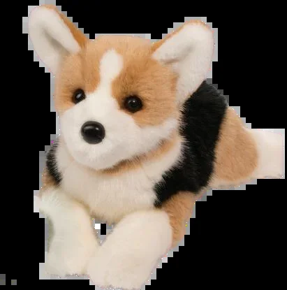 Konner Tri-Color Corgi