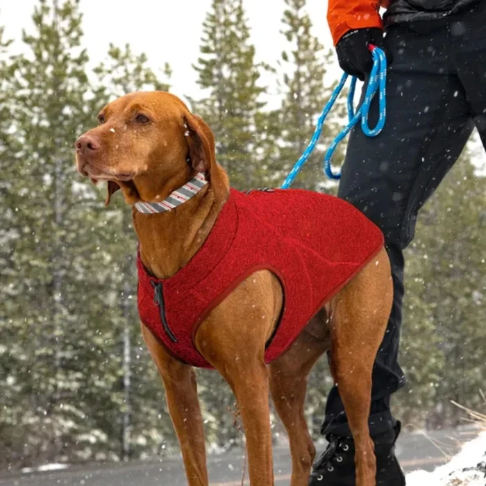 Kurgo K9 Core Dog Sweater – Heather Red