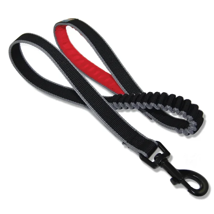Kurgo Springback Dog Leash