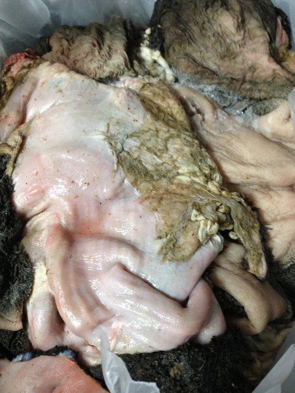 Lamb Tripe Whole or Ground