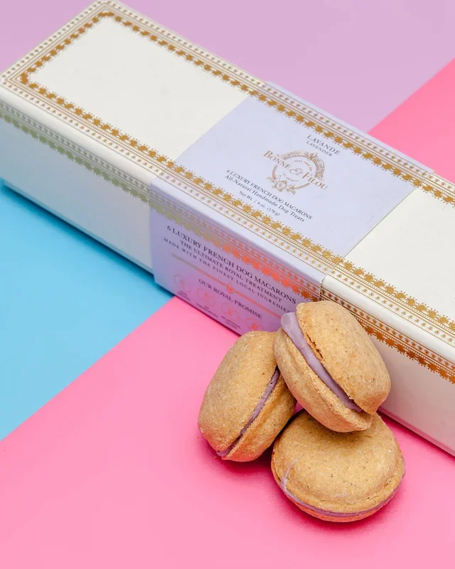 Lavender Macarons Dog Treat Box Set