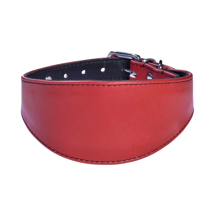 Leather dog collar Bobby Levrier Nicky [Size 30 cm]
