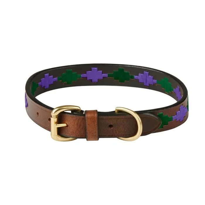 Leather dog collar Weatherbeeta Polo shirt