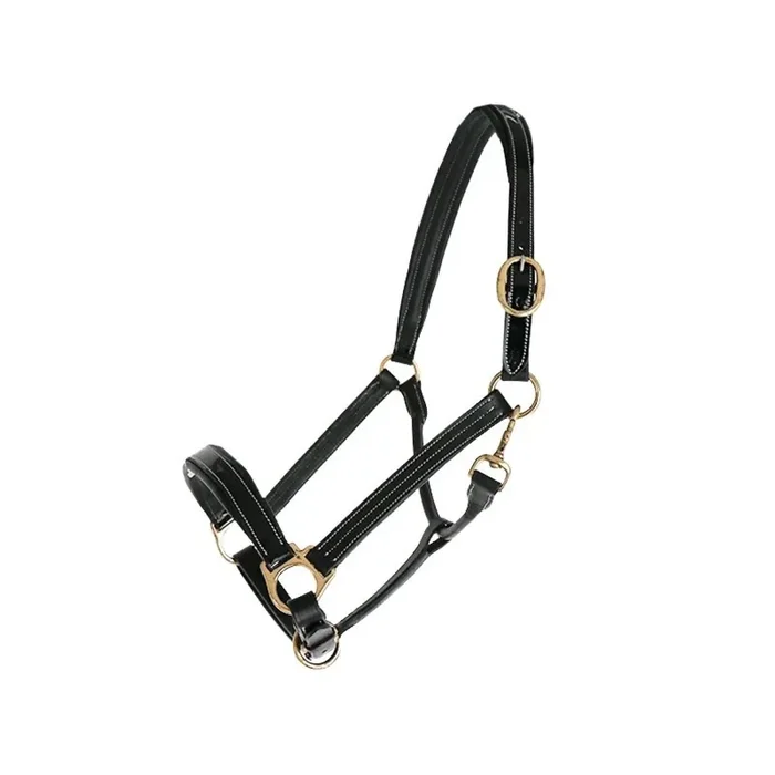 Leather halter for horse Chetak Bright