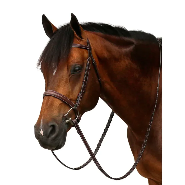 Leather riding bridles Equiline Hunter Italiano Scott Stewart