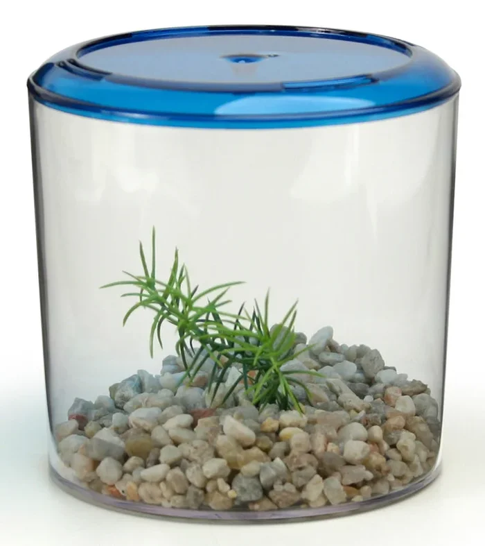 Lee’s Aquarium & Pet Products Betta Keeper, Round
