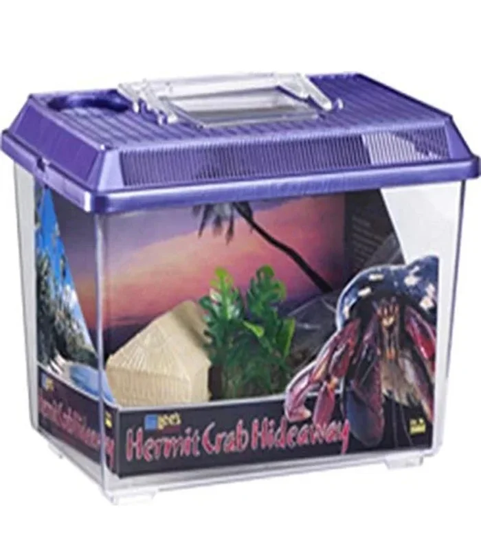 Lee’s Hermit Crab Hideaway Kit, Medium, Colors May Vary