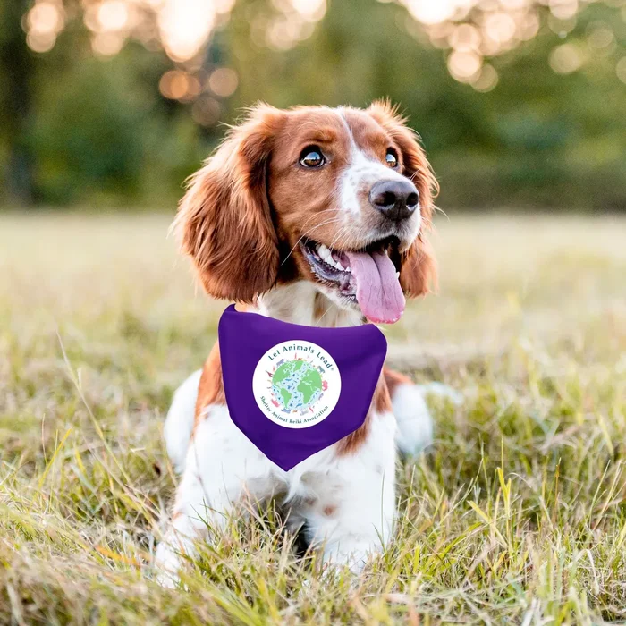 Let Animals Lead Purple Dog Bandana – Shelter Animal Reiki Association