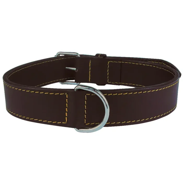 Lined leather dog collar Zolux [Size 35 cm]