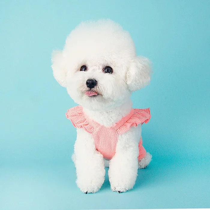 LITTLE COLLIN | Lovely Overall in Soft Pink