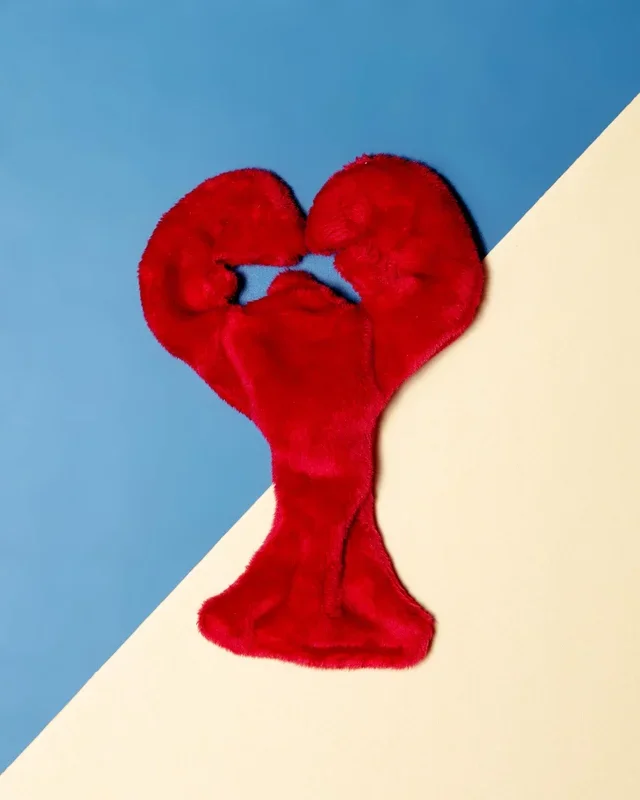 Lobster Crinkle + Squeaky Dog Toy (Made in the USA) (FINAL SALE)
