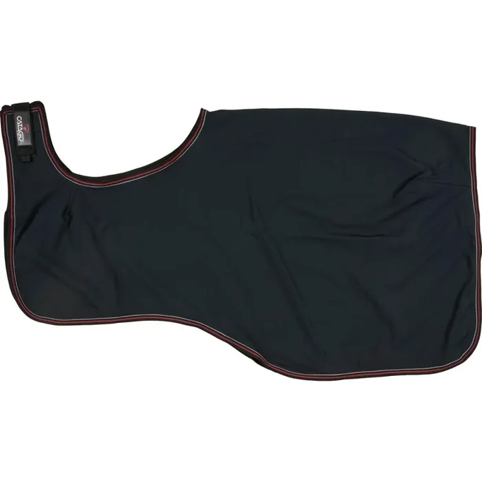 Loins for horses Catago