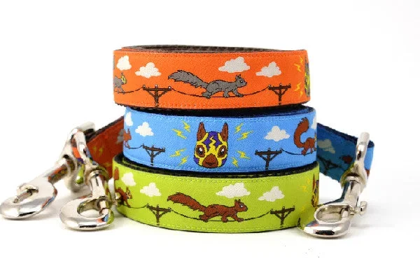 Lucha Squirrels – Sparky – Dog Leashes