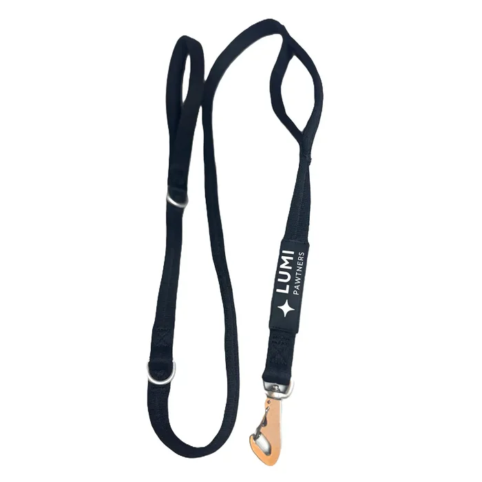 Lumi Dog Leash – Black