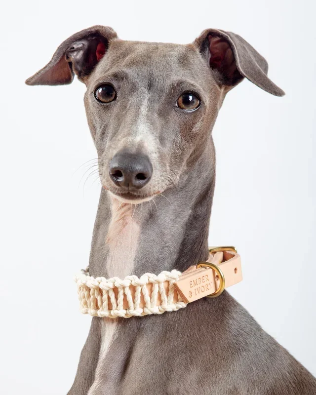 Macrame & Leather Dog Collar in Natural (Made in the USA) (CLEARANCE)