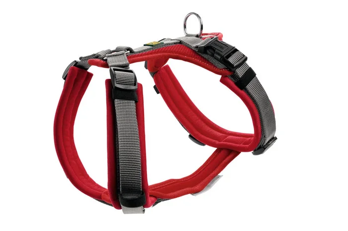 MALDON Harness