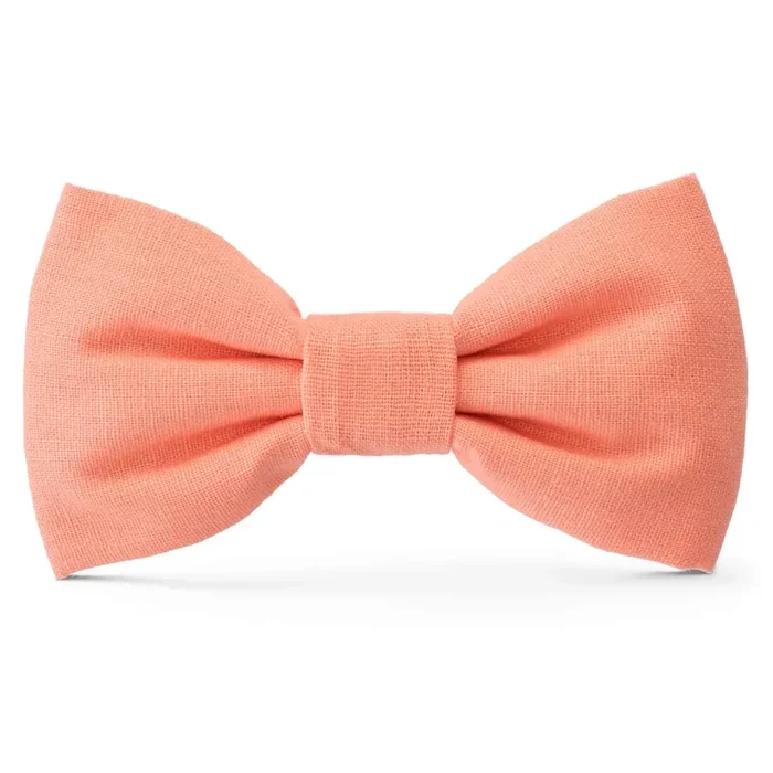 Mango Bright Dog Bow Tie (Made in the USA) (CLEARANCE)