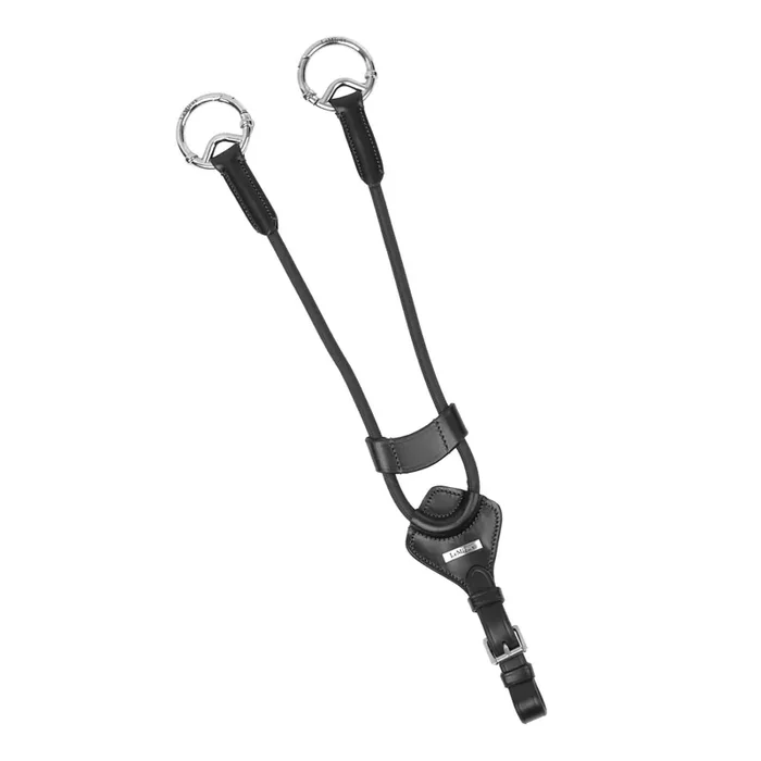 Martingale for elastic horses LeMieux