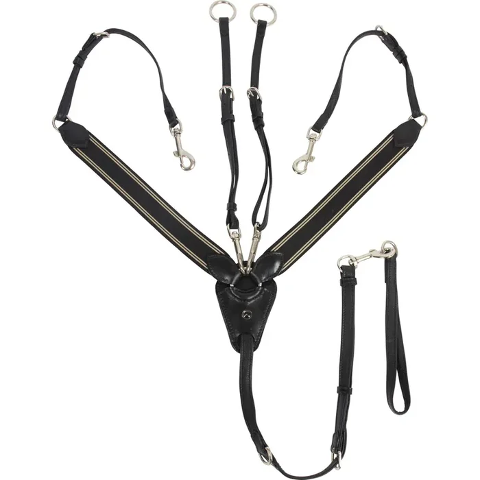 Martingale for horse Catago