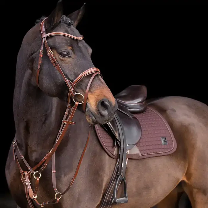 Martingale for horse HV Polo Legacy