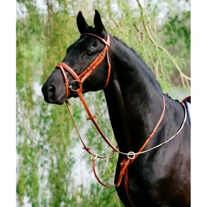 Martingale for horses with rings Stübben [Size Pony]