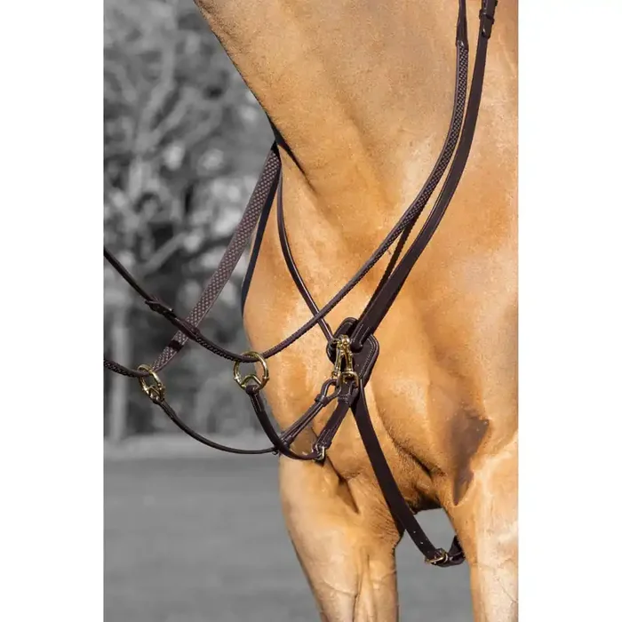 Martingale of race for chevall LeMieux Kudos