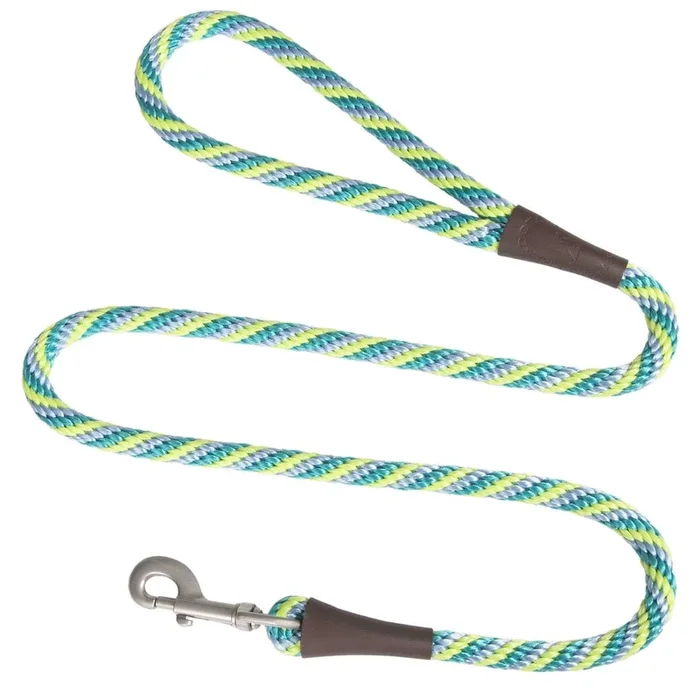 Mendota Snap Leash Large Dog Lead in Seafoam