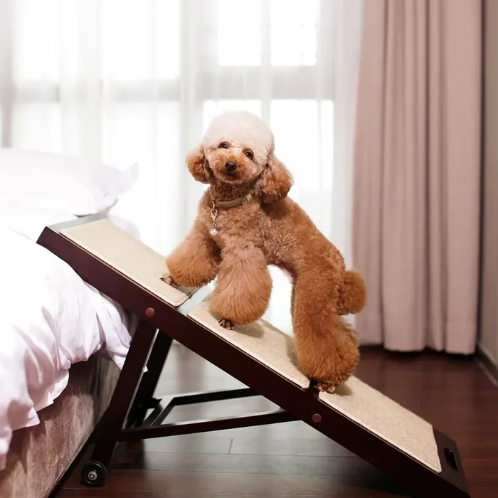 Merry Products Collapsible Pet Ramp