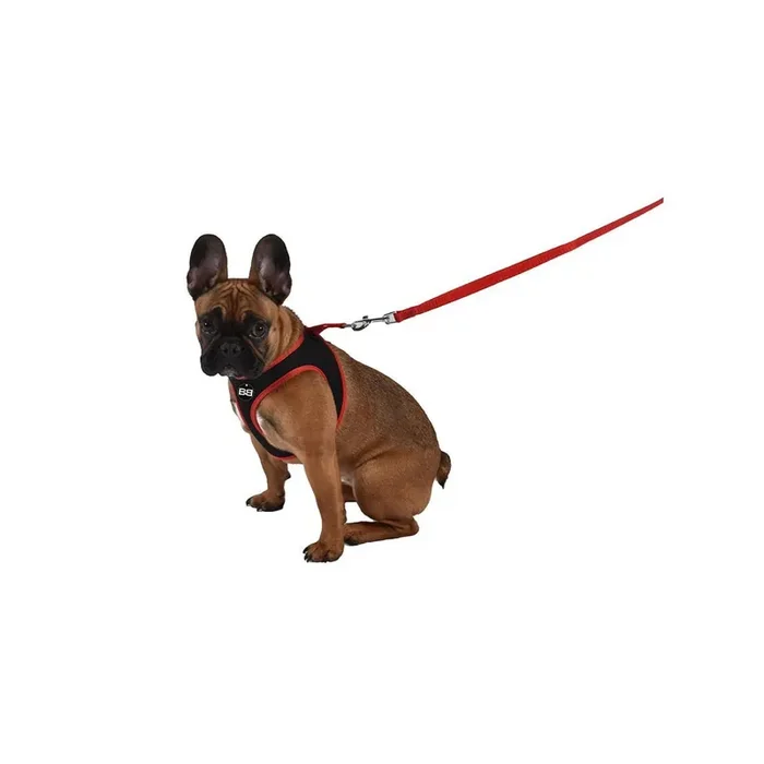 Mini dog harness Bobby Safe [Size S]