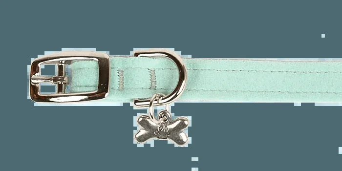 Mint Collar