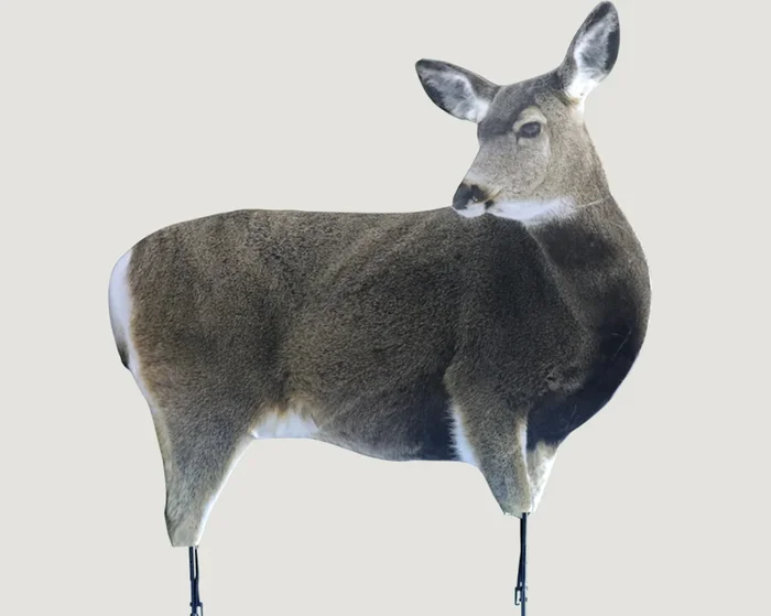 Miss Muley Doe Decoy